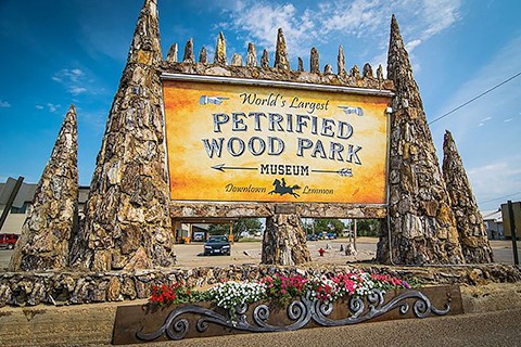 Lemmon's Petrified Wood Park, Museum & Gift Shop